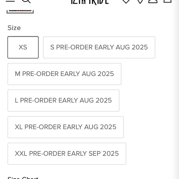 Sundance Floral Paisley Maxi Dress - Picture 4 of 7